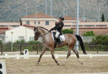 Πρόκριση για Βαλκανικούς ο Ιπ.Ο.Τ.Ι.Σ. για δεύτερη φορά