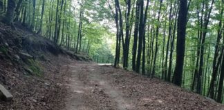 Στις 4 Σεπτεμβρίου ο Ορεινός Αγώνας "Αγριολεύκες"