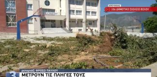 Η επόμενη μέρα στον Βόλο: Οι καταστροφές που άφησε πίσω του το ξαφνικό μπουρίνι (video)