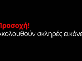 ΒΙΝΤΕΟ ΣΟΚ: Η στιγμή της σύγκρουσης στη Ρουμανία – 7 νεκροί οπαδοί του ΠΑΟΚ