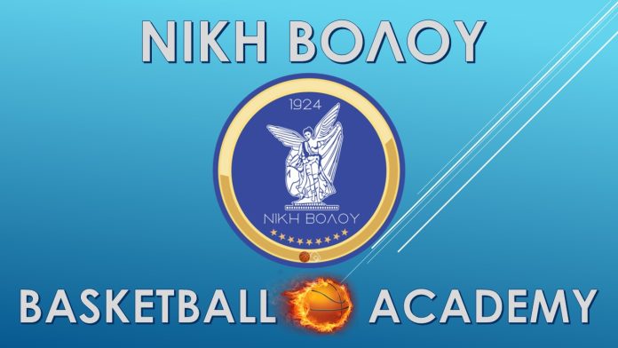 niki volou academy