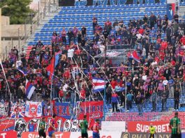 «Θα φύγετε, γιατί δεν σας θέλουμε άλλο»: Η οργισμένη ανακοίνωση των Πάνθηρων μετά τη Μαρκό «Θα φύγετε, γιατί δεν σας θέλουμε άλλο»: Η οργισμένη ανακοίνωση των Πάνθηρων μετά τη Μαρκό